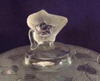 Glass Thumb