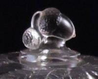 Glass Thumb